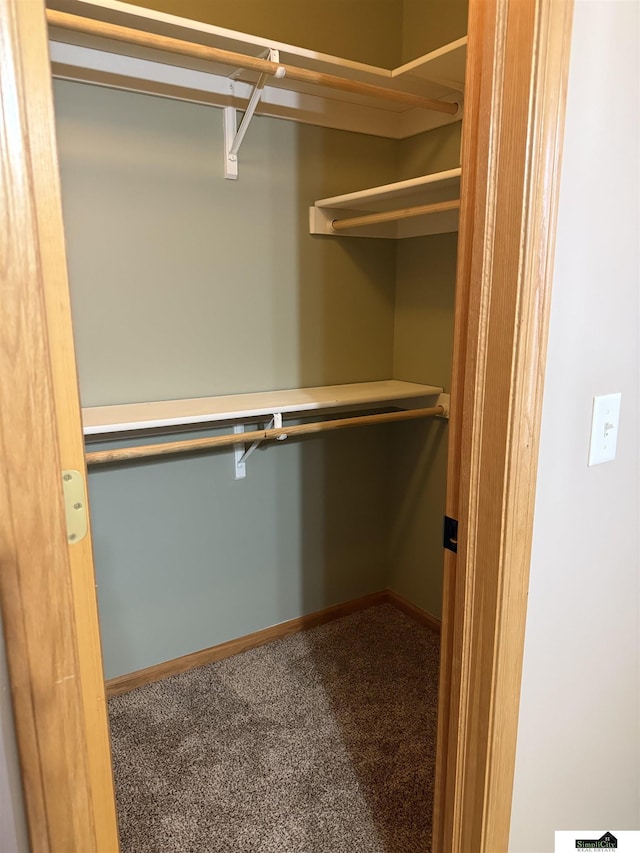 walk in closet featuring carpet floors