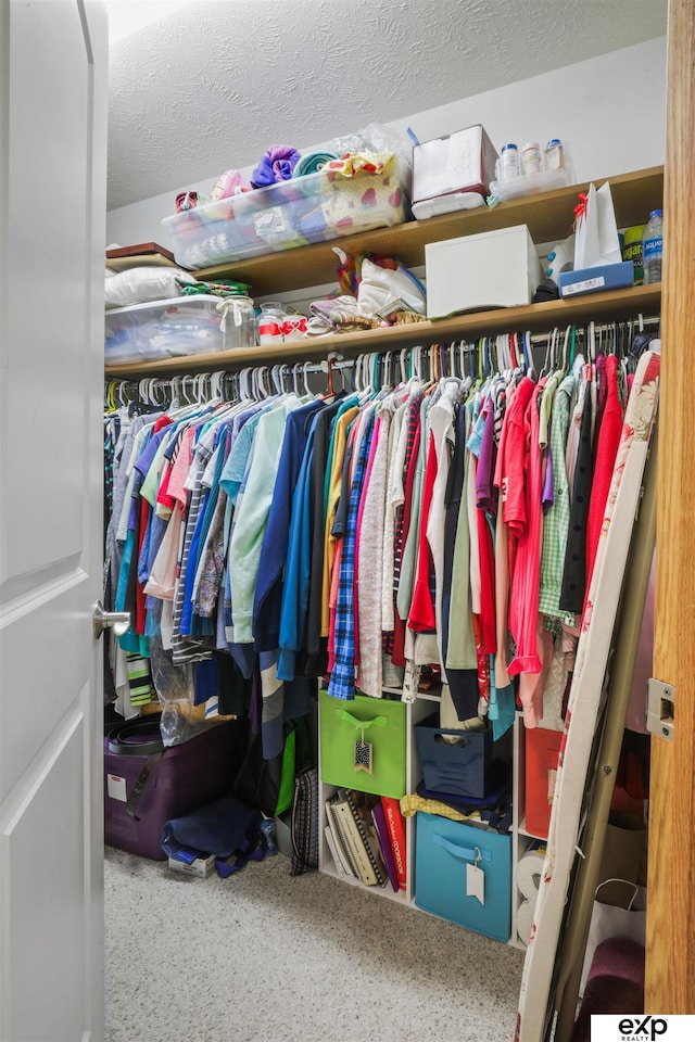 view of walk in closet