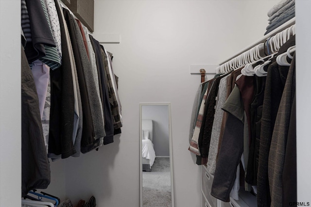 walk in closet with carpet flooring