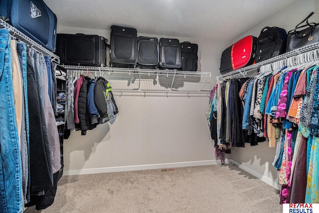 walk in closet featuring carpet