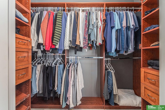 view of spacious closet