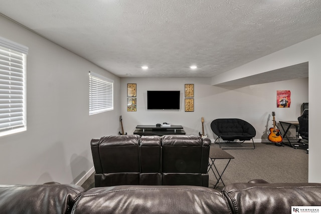 10230 Weir St, Ralston, NE 68127 - carpeted living room featuring a textured ceiling and baseboards