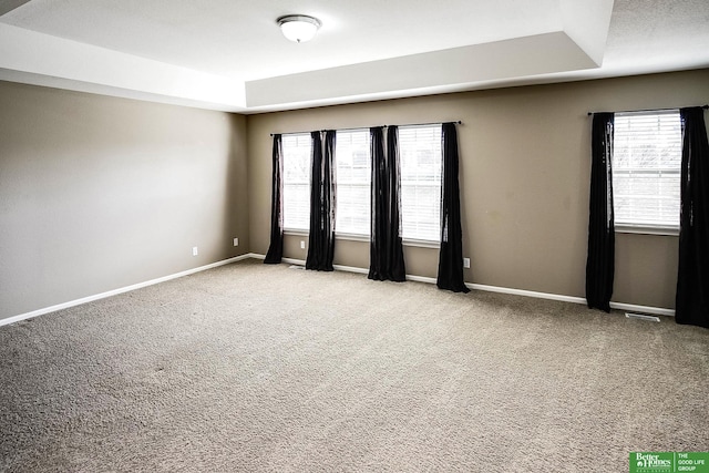 carpeted spare room with a raised ceiling, plenty of natural light, and baseboards