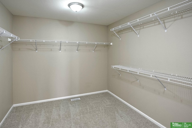 walk in closet with carpet floors