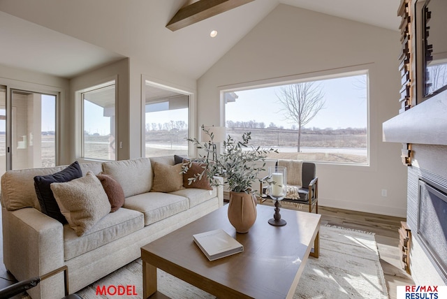 living area featuring a glass covered fireplace, baseboards, lofted ceiling, and wood finished floors