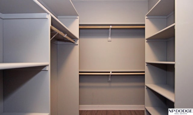 walk in closet with wood finished floors