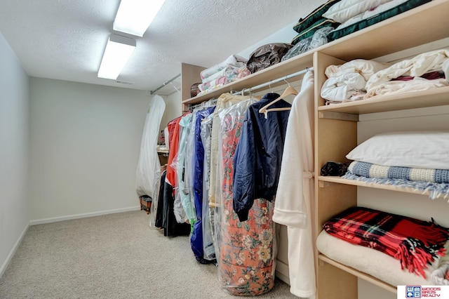 walk in closet with carpet floors