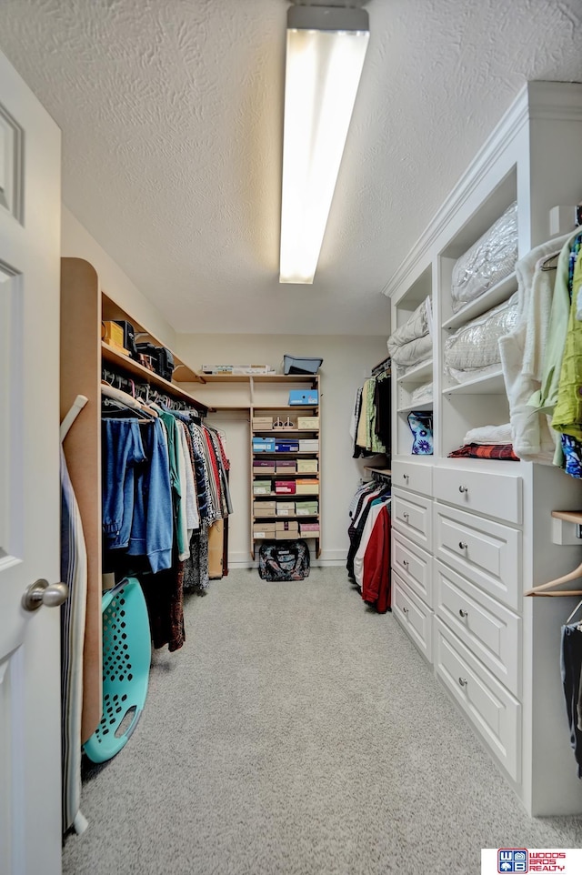 walk in closet with carpet flooring