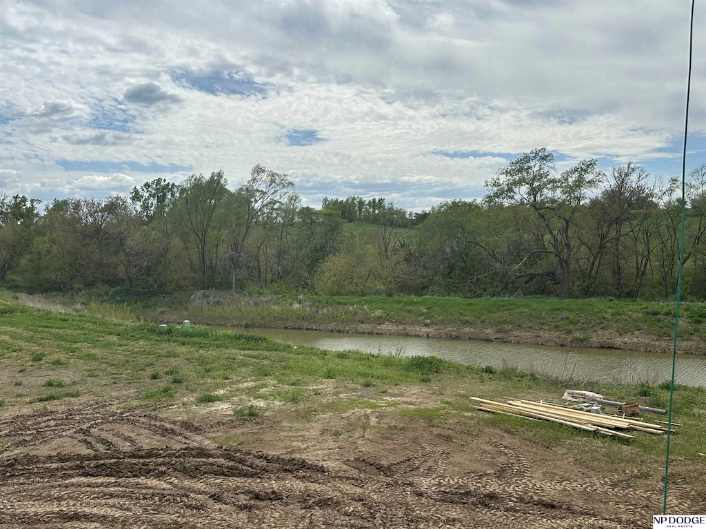 10454 S 118th St, Papillion, NE 68046 - view of yard