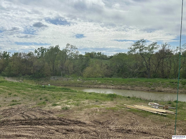10454 S 118th St, Papillion, NE 68046 - view of yard