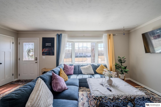 living room with wood finished floors, baseboards, and a textured ceiling