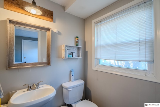 half bathroom featuring toilet and a sink