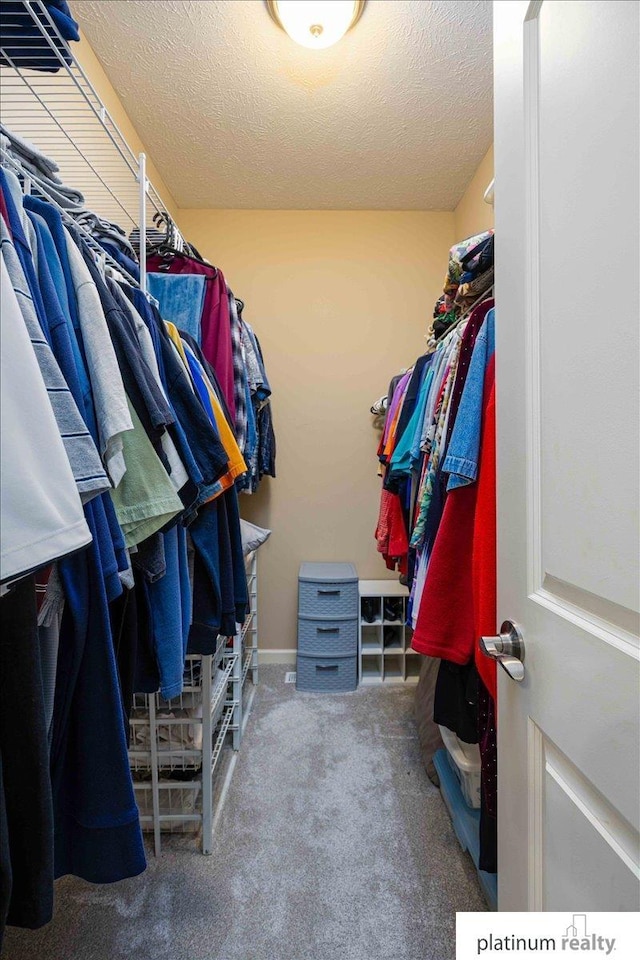 spacious closet featuring carpet