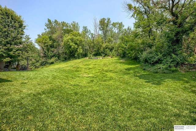 view of yard featuring visible vents