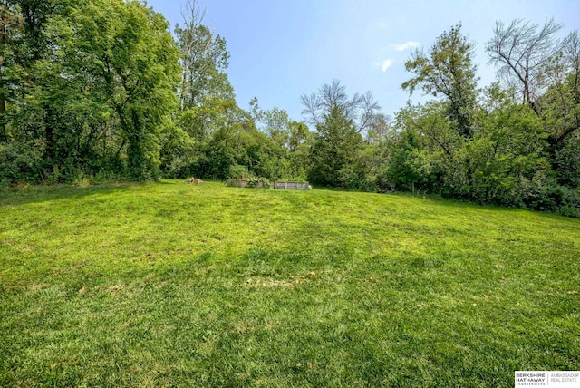 view of yard with visible vents