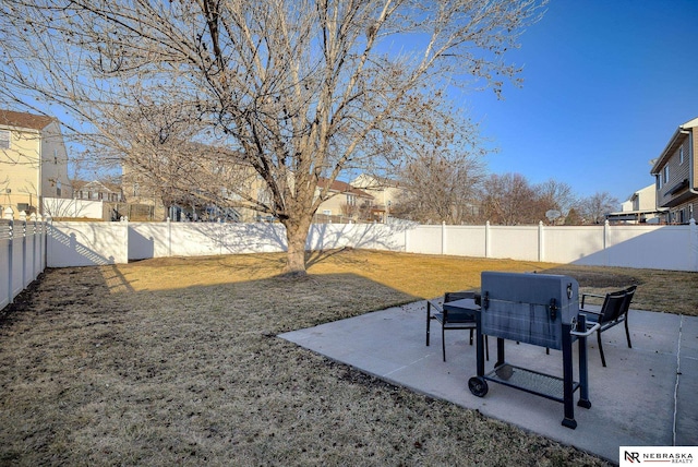 view of yard with a patio area and a fenced backyard