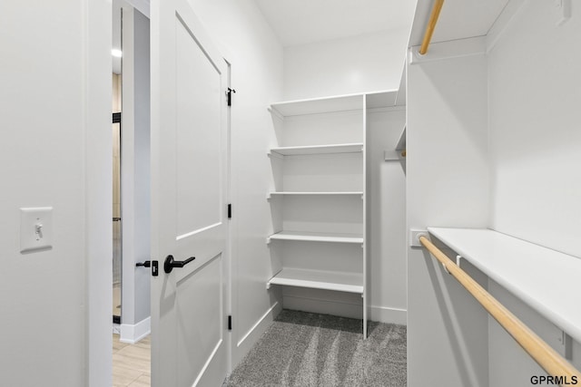 spacious closet featuring light colored carpet
