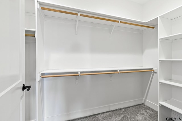 spacious closet with carpet flooring