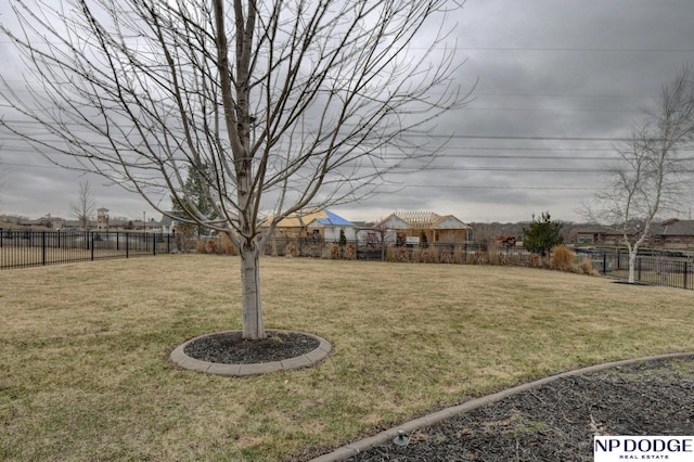 view of yard with a fenced backyard