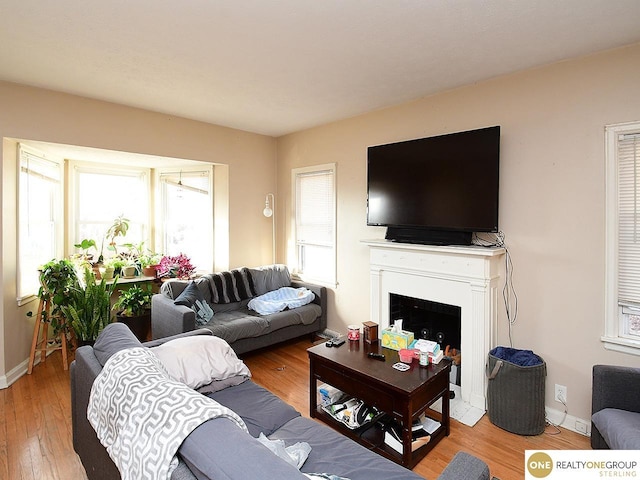 living area featuring baseboards, wood finished floors, and a fireplace with flush hearth