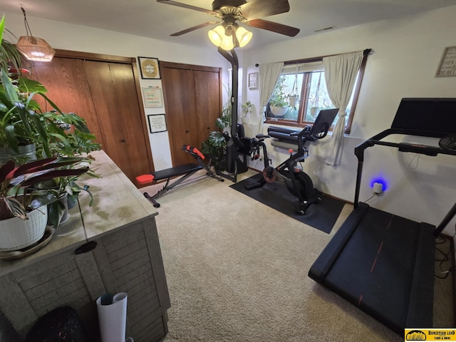 exercise room with carpet flooring, visible vents, and ceiling fan