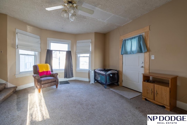 1042 Seward St, Seward, NE 68434 - living area with ceiling fan, baseboards, stairway, carpet flooring, and a textured ceiling