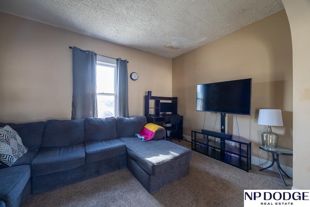 1042 Seward St, Seward, NE 68434 - carpeted living area featuring baseboards and a textured ceiling