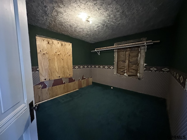 108 S Quince Ave, Dewitt, NE 68341 - unfurnished room with a textured ceiling and carpet flooring