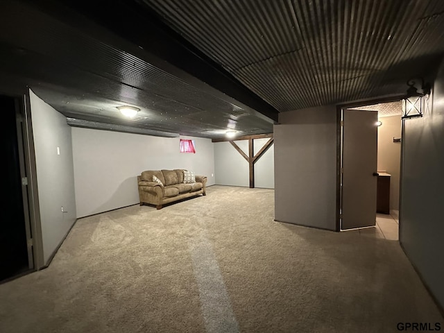 108 S Quince Ave, Dewitt, NE 68341 - finished basement with carpet floors