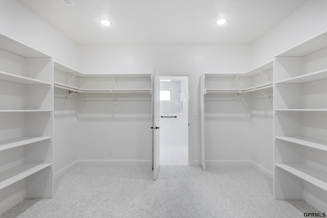 10907 N 167th St, Bennington, NE 68007 - spacious closet featuring carpet