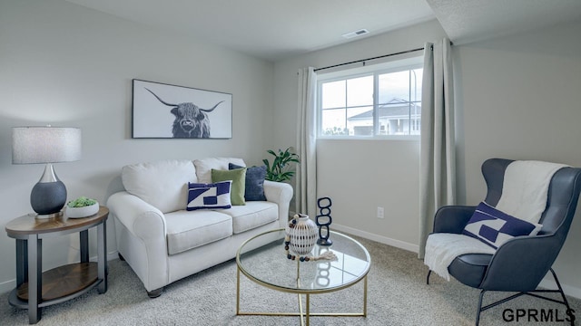 13607 Whitmore St, Omaha, NE 68142 - living room with carpet floors and baseboards
