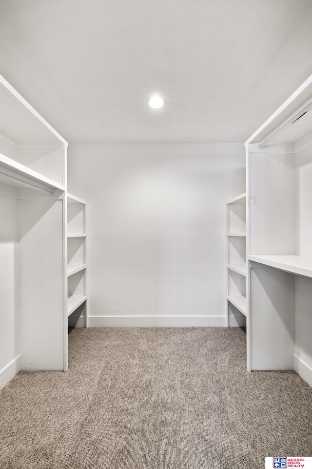 walk in closet featuring carpet floors