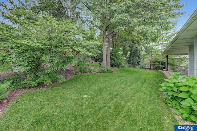view of yard