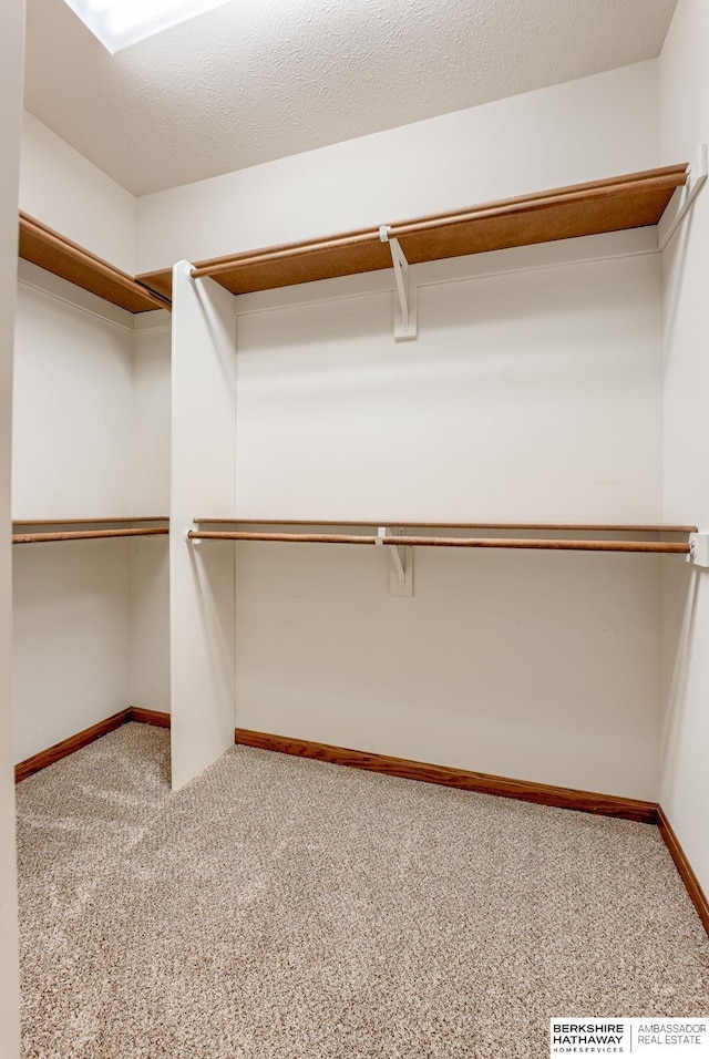 walk in closet with carpet floors