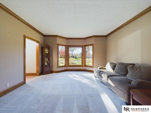 living room featuring baseboards, carpet flooring, a textured ceiling, and ornamental molding