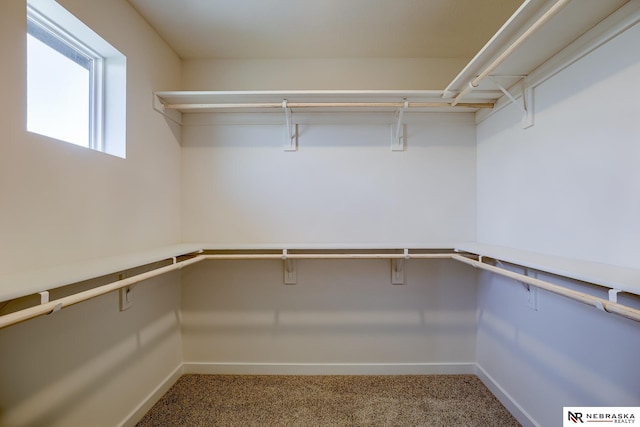 17547 Potter St, Bennington, NE 68007 - walk in closet featuring carpet