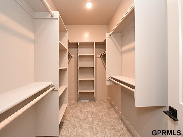 spacious closet with light colored carpet