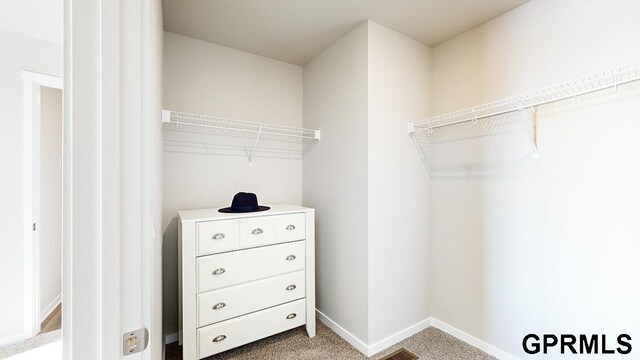 17650 Portal St, Omaha, NE 68136 - spacious closet featuring carpet