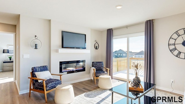 17650 Portal St, Omaha, NE 68136 - living room with a glass covered fireplace, baseboards, and wood finished floors