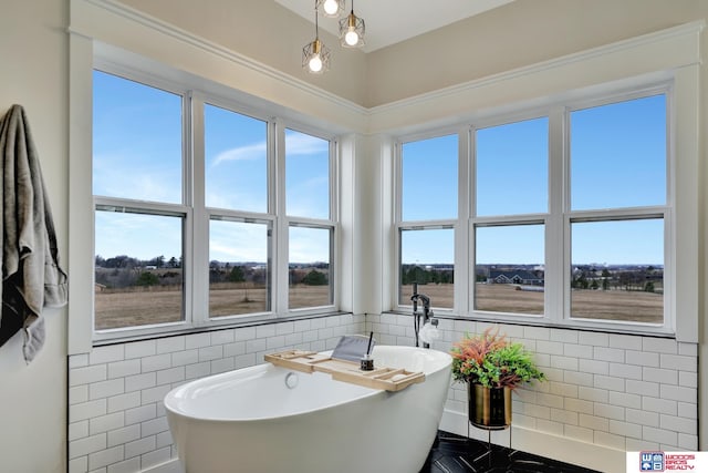 bathroom featuring a freestanding tub, tile walls, and a healthy amount of sunlight