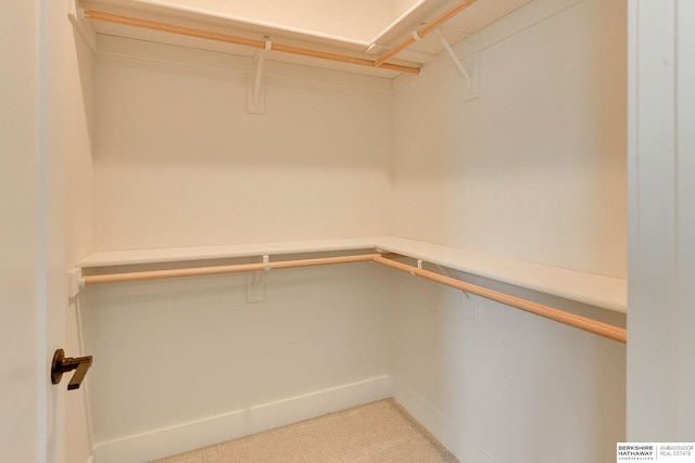 view of spacious closet