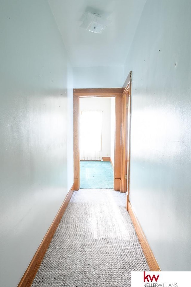 corridor featuring baseboards and carpet