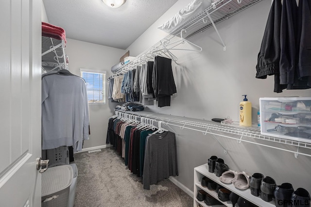 16604 Weber St, Bennington, NE 68007 - walk in closet with carpet floors
