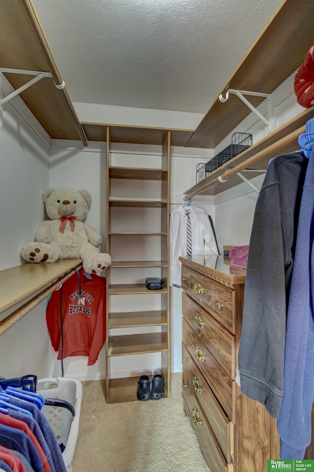 spacious closet featuring carpet flooring