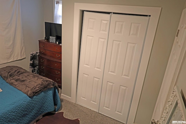 bedroom featuring carpet floors and a closet