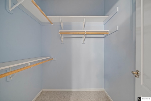 view of spacious closet