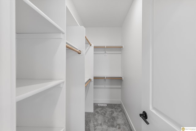 walk in closet with carpet flooring