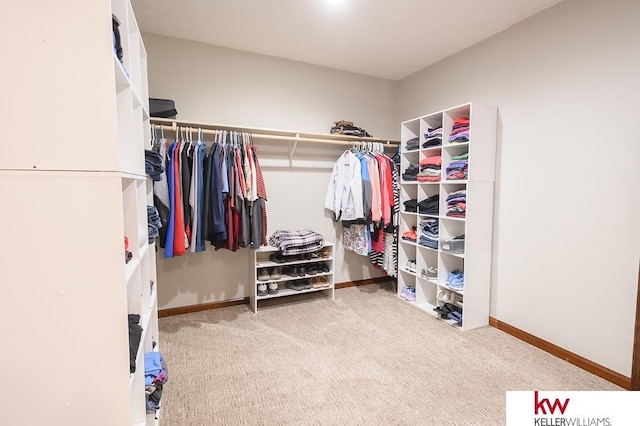 walk in closet featuring carpet flooring