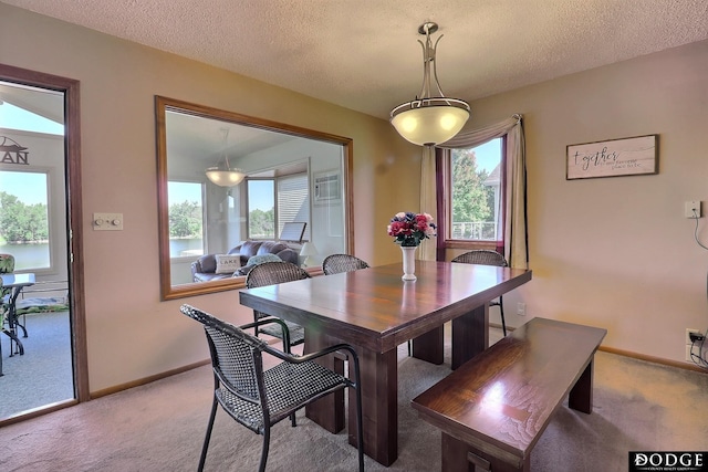 dining space with plenty of natural light, baseboards, light colored carpet, and a textured ceiling