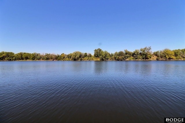 water view with a forest view